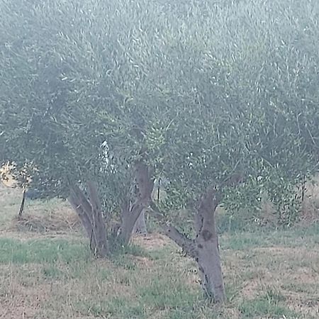 Principessa Telendos Villa Kalymnos Town Bagian luar foto