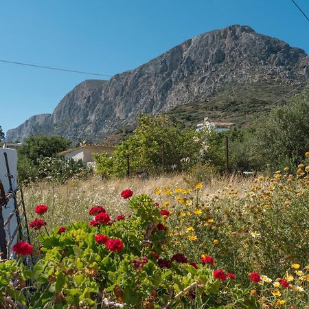 Principessa Telendos Villa Kalymnos Town Bagian luar foto