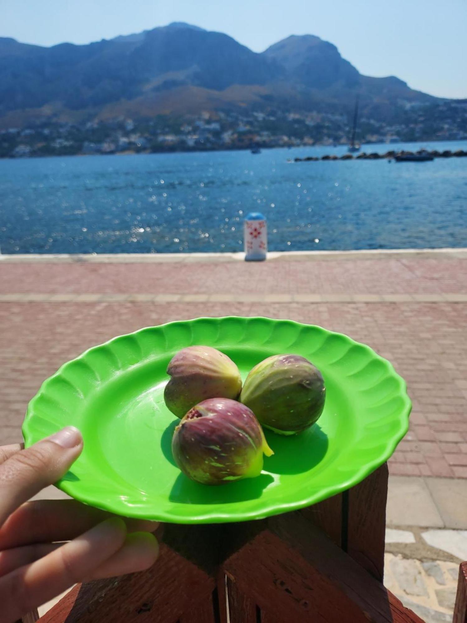 Principessa Telendos Villa Kalymnos Town Bagian luar foto